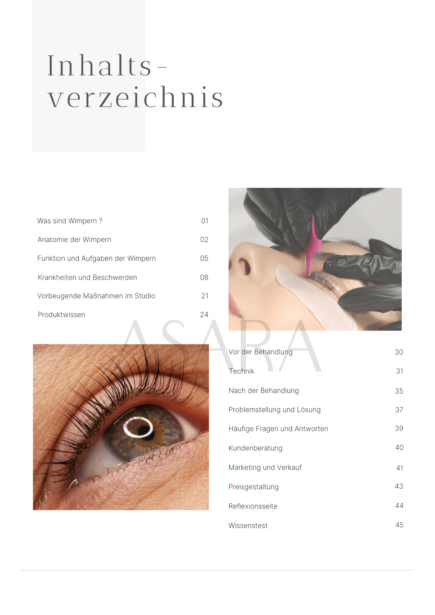 Wimpernlifting online Schulung